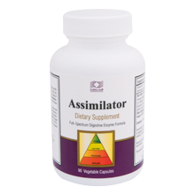 Assimilator